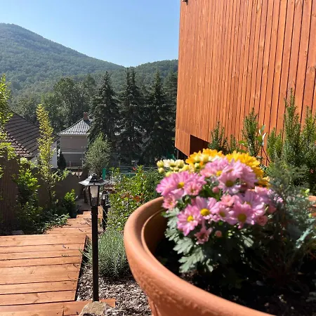 Paradka - Toscana Villa *